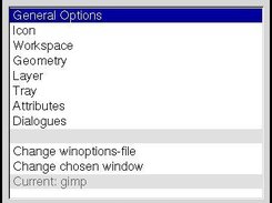 ice-win's main menu after windowselection