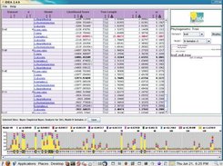 Results Display