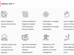 CHALLENGES WHICH IDOS SOLVES FOR CFO