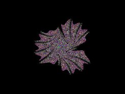 iefmirashow Screenshot 5