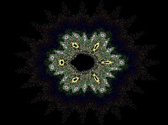 iefmirashow Screenshot 4