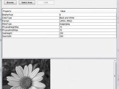 Image Forgery Detector Screenshot 1
