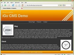 Demo web site