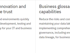 IBM InfoSphere Information Server Screenshot 1