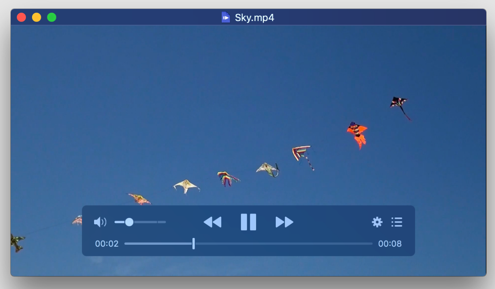 IINA Screenshot 1