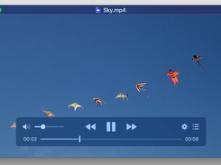 IINA Screenshot 1