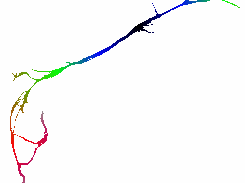 Propagation of geodesic distance for computing geodesic diameter of a fibre