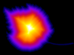 Computation of chamfer distance map from binarised leaf image
