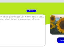 Decryption Window
