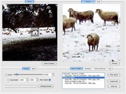 SmillaEnlarger and some sheep on MacOS X