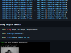 ImageInTerminal.jl Screenshot 1