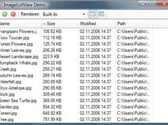 ImageListView in Details view mode.