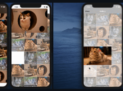 ImageViewer.swift Screenshot 1