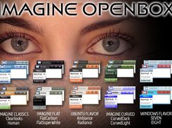 10 Imagine Themes for openbox