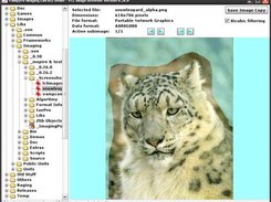 Image Browser Demo (VCL Application)