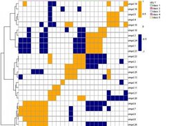 Visualize correlations matrix