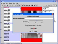 You can adjust the names of several files at once.