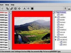 Basic screen for viewing and sorting images.