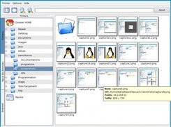 KWeshtavue, y a plein de miniatures...
