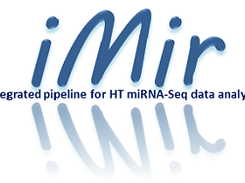 iMir Logo