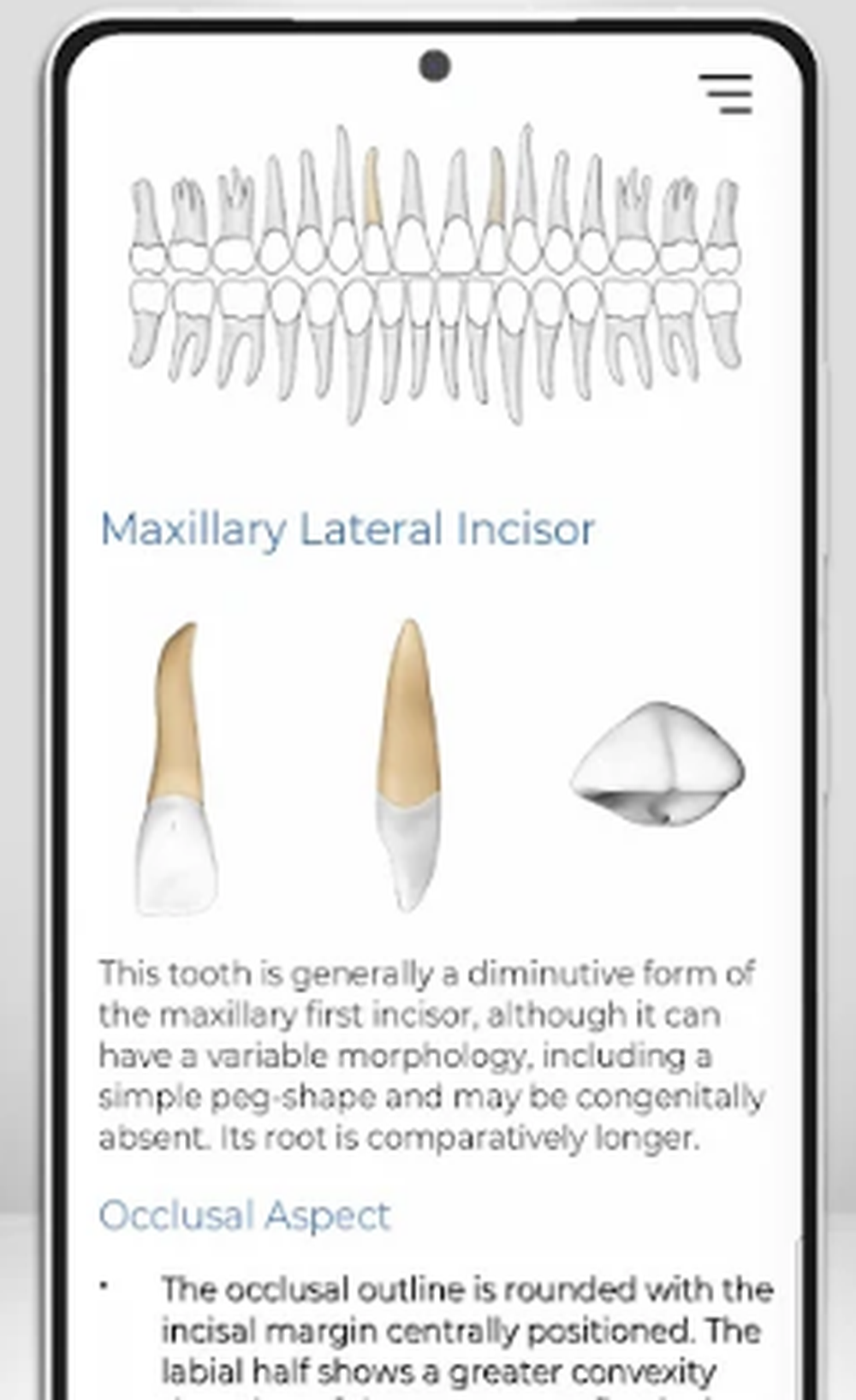 Immersify Dental Screenshot 1