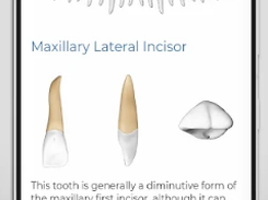 Immersify Dental Screenshot 1
