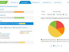 ImmuniWeb On-Demand