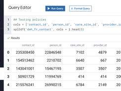 Immuta Query Editor