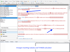 Powerscribe thyroid template with Imorgon 