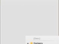 Main application widget (window)
