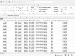 The Import Export PowerTool app demonstrates its capability to organize and prepare large datasets in Excel for import, simplifying bulk data entry and reducing the time needed for manual data handling.