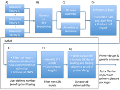 iMSAT Workflow