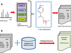 In silico fragmentation evaluation: Voting/consensus overview