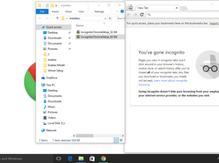 Google Chrome (incognito / Ram Mode)
