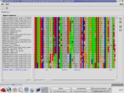 Aligned Sequence pane on RedHat 8.0