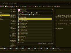 Options Window
