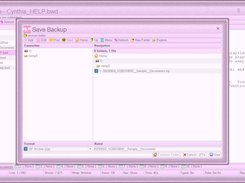 Backup Window