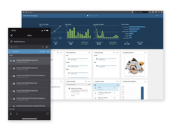 Infor Distribution SX.e Screenshot 1