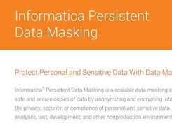 Informatica Persistent Data Masking Screenshot 2