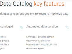 Informatica Enterprise Data Catalog Screenshot 1