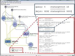 Example of a graphical Pipeline Informatics workflow (BLAST)