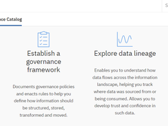 IBM InfoSphere Information Governance Catalog Screenshot 1