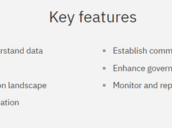 IBM InfoSphere Information Governance Catalog Screenshot 1