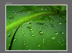Main view, Storm theme. Blank caption/desc clean look.