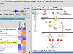 QIAGEN Ingenuity Pathway Analysis Screenshot 1