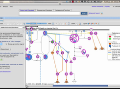 QIAGEN Ingenuity Pathway Analysis Screenshot 2