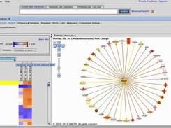 QIAGEN Ingenuity Pathway Analysis Screenshot 1