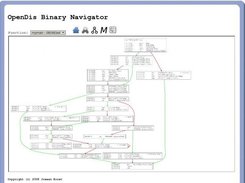 OpenDis Binary Navigator showing a basic blocks diagram