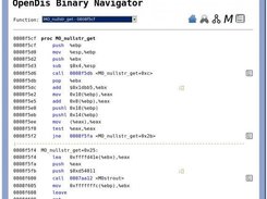 OpenDis Binary Navigator: Text browser