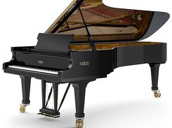 Fazioli F-308 Concert Grand Piano